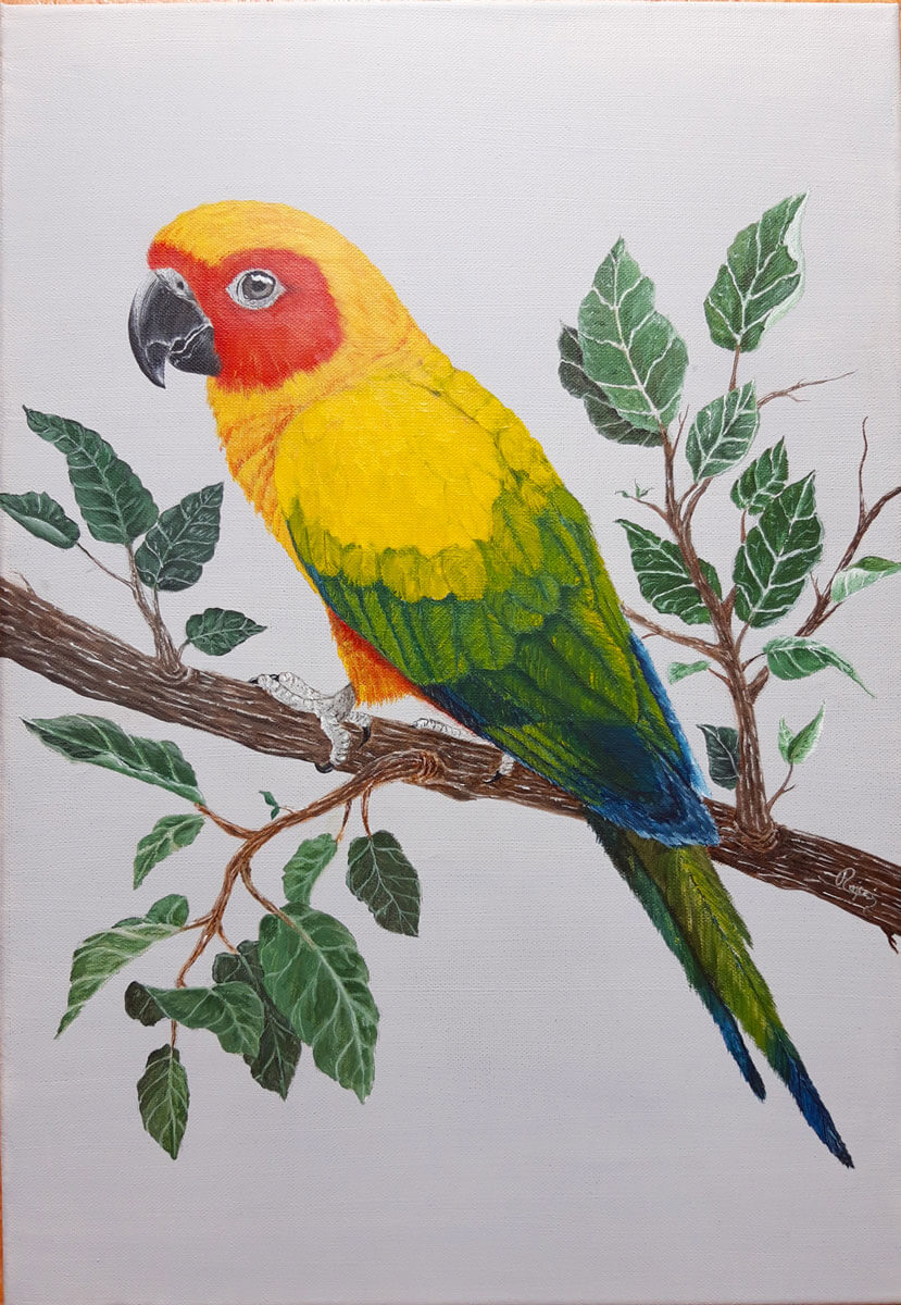 Színpompás papagáj akrilfestmény feszített vászonra