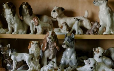 Apró természeti kincsek otthon – így lesz a gyűjteményből látványos vitrinkompozíció